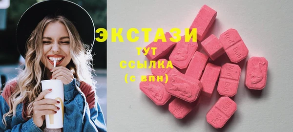 ECSTASY Бородино