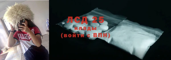 ECSTASY Бородино